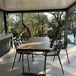 Stara Gavza - ,