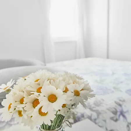 Park za odmor Stara Gavza - ,