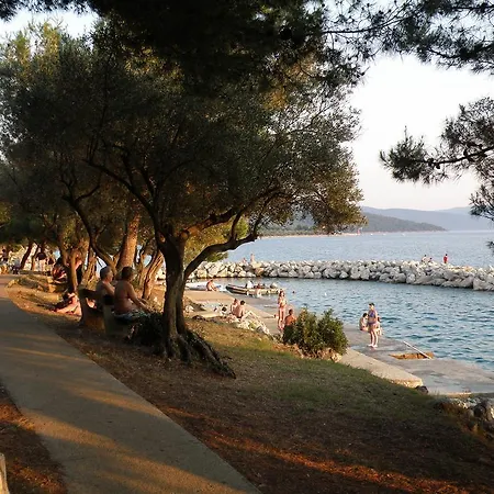 Stara Gavza - ,