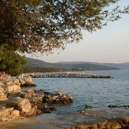 Stara Gavza - ,