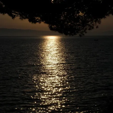 Holiday park Stara Gavza - , Cres