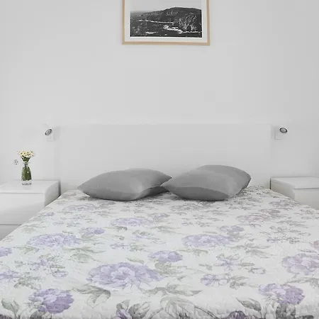 Stara Gavza - , Holiday park 3*