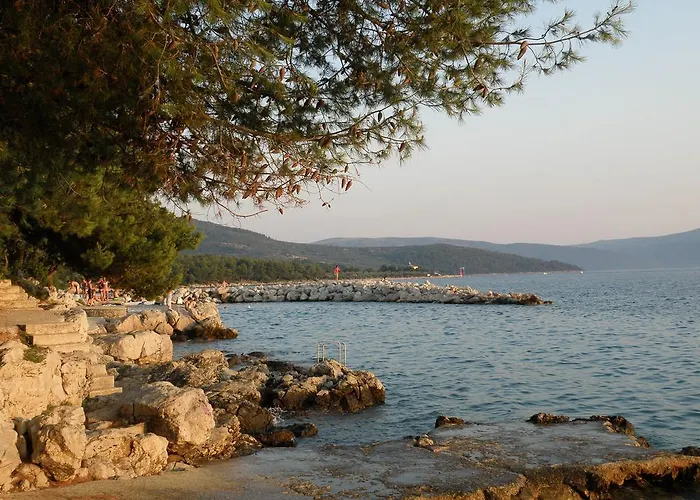Stara Gavza - ,