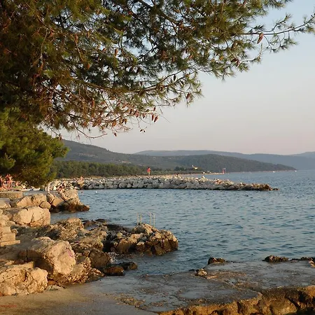 Stara Gavza - ,