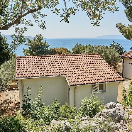 Vakantiepark Stara Gavza - ,